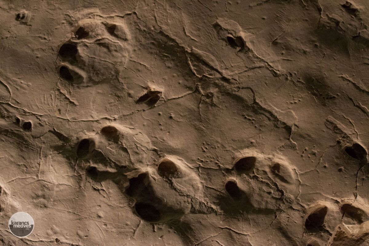 Ősorrszarvú lábnyoma (karancs-medves.info fotó: Drexler Szilárd)
