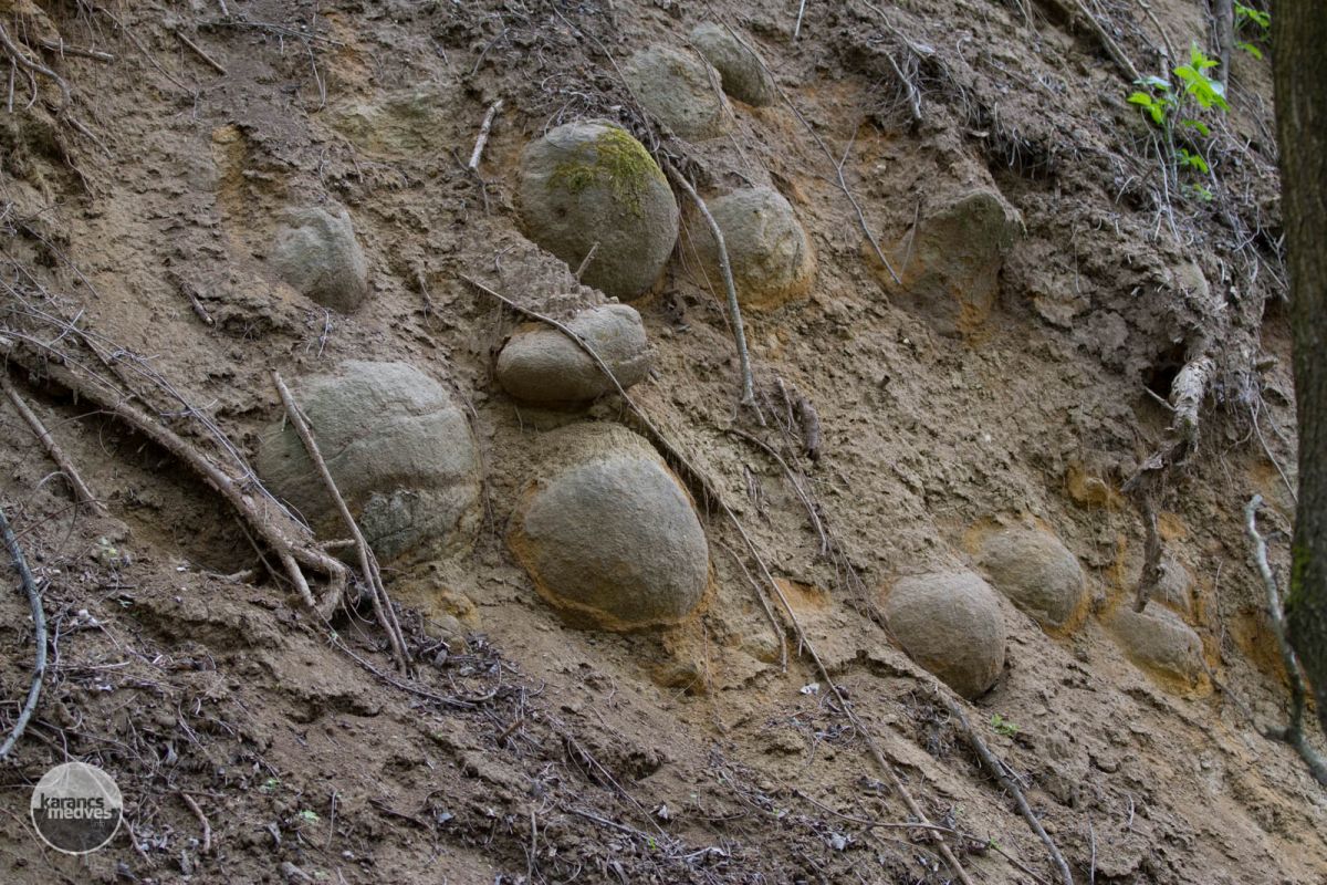Kiemelt fotó: A karancsberényi gombkövek (karancs-medves.info fotó: Drexler Szilárd)